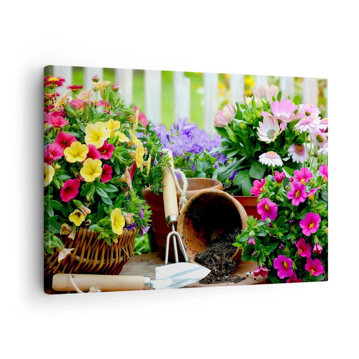 Lærredstryk - Billede på lærred - Farverige blomster i potter med haveredskaber på bordet - 70x50cm - Zosias have - Moderne vægdekoration til stue og soveværelse ARTTOR