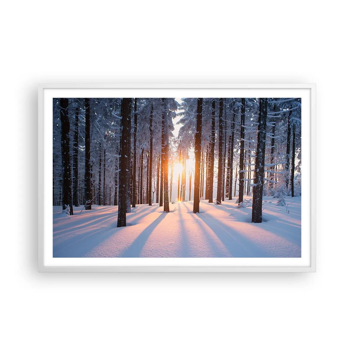 Plakat i hvid ramme - Klart i sort og hvidt - 91x61 cm