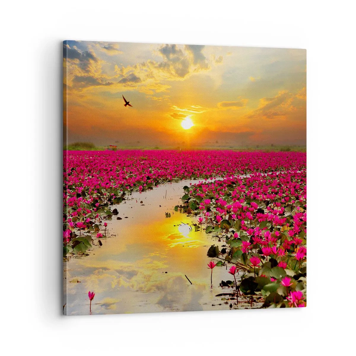 Lærredstryk - Billede på lærred - Søens hemmelige liv - 60x60 cm