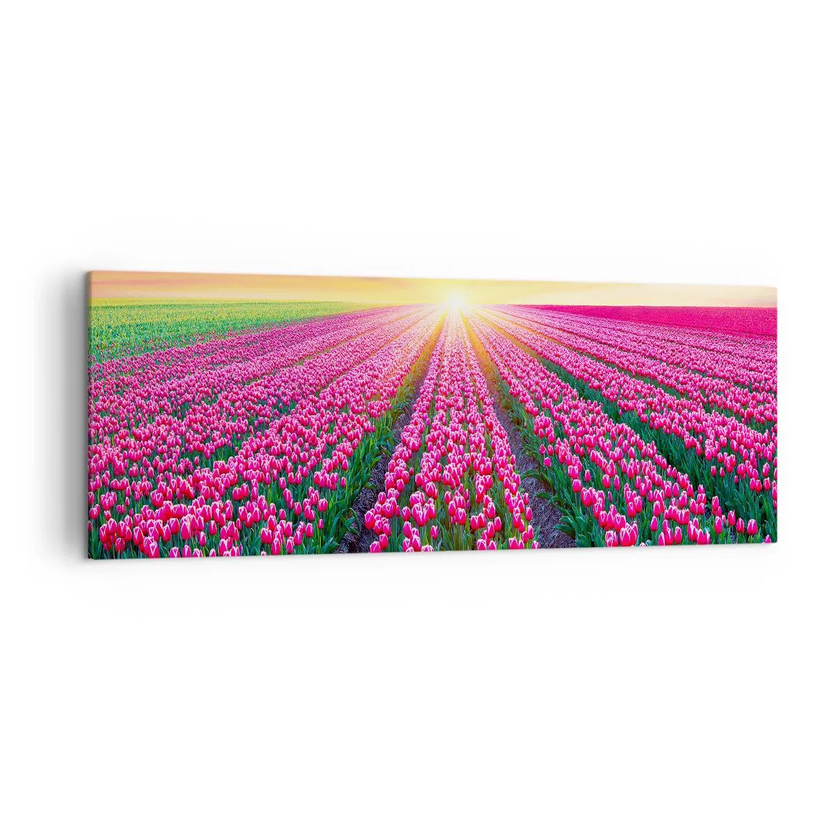 Lærredstryk - Billede på lærred - Skønhedsfarm - 140x50 cm