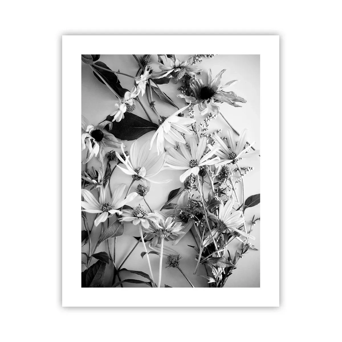 Plakat - Blomster uden buket - 40x50 cm