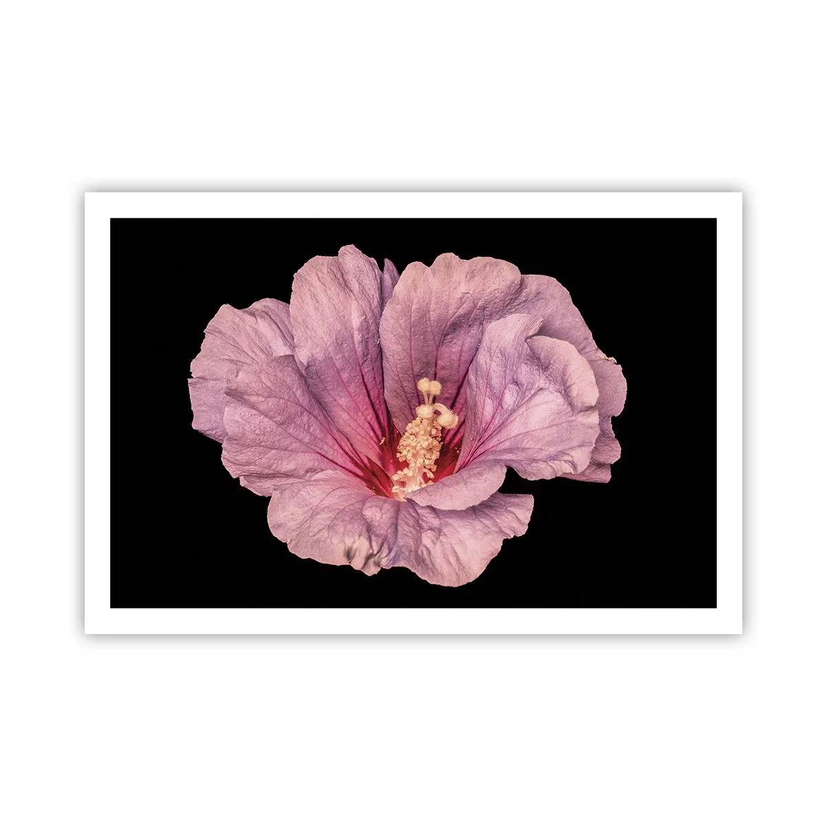 Plakat - Lige i hjertet - 91x61 cm