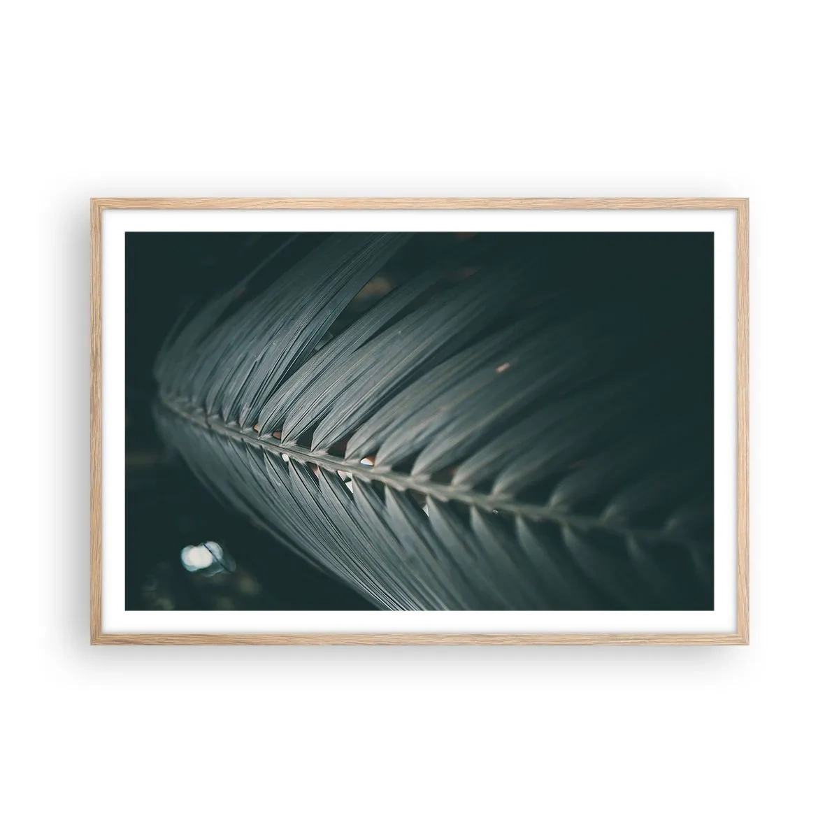 Plakat i ramme af lyst egetræ - Naturens præcision - 91x61 cm