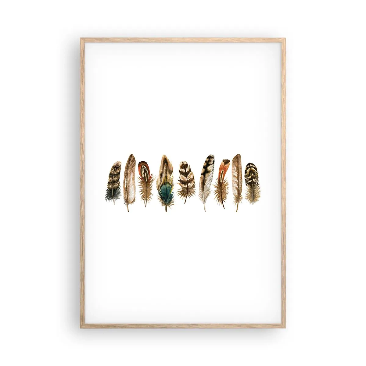 Plakat i ramme af lyst egetræ - Variation med fjer - 70x100 cm