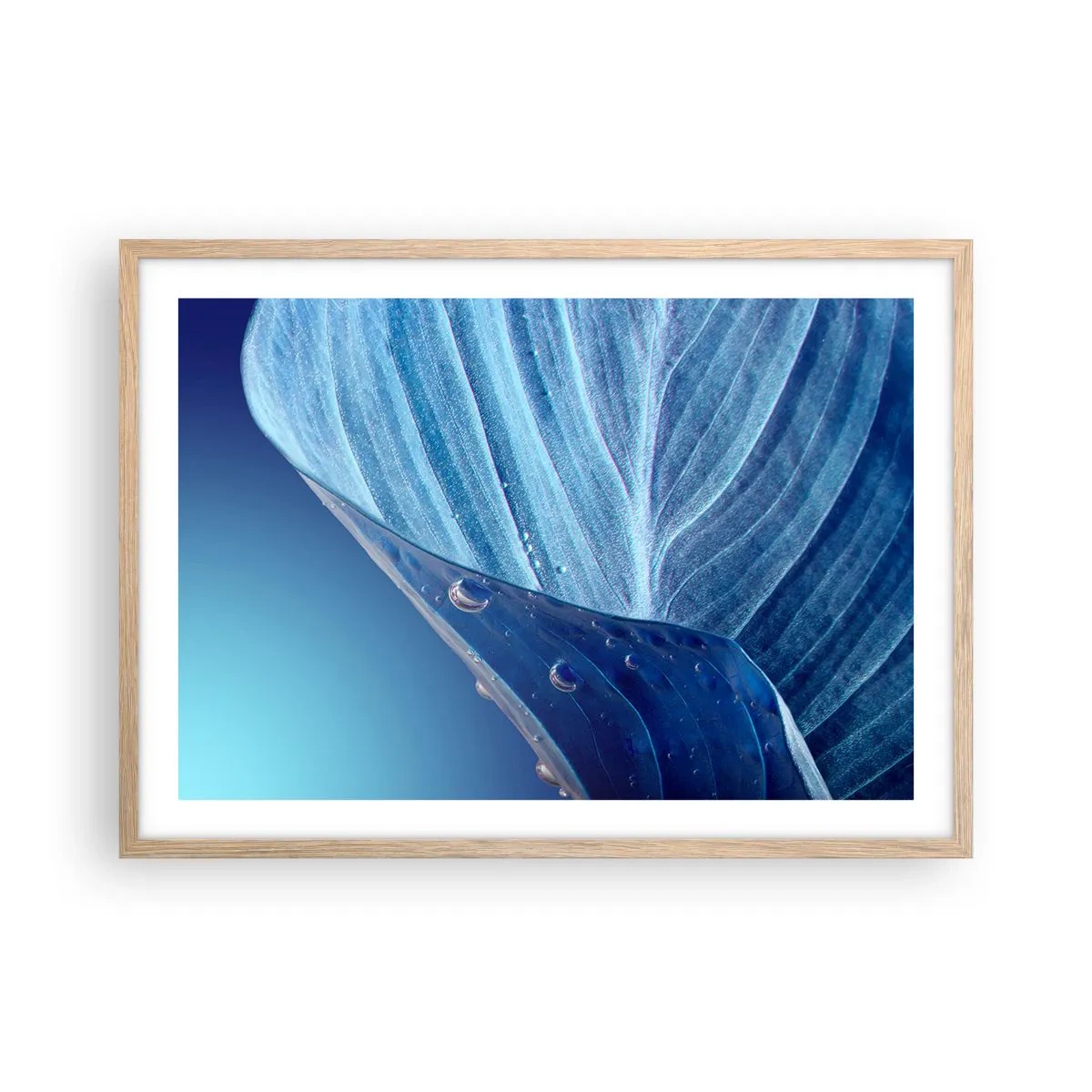 Plakat i ramme af lyst egetræ - Skjulte dråber af blåt - 70x50 cm