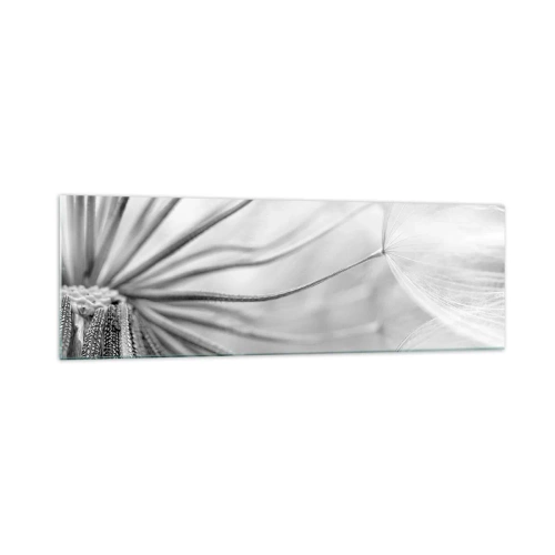 Billede på glas - Blæsende drager - 160x50 cm