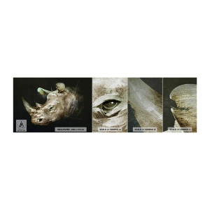 Prøve Fototapet Premium Canvas - Ægte maskulin styrke - Abstraktion, Næsehorn, Dyr - 100x30 cm