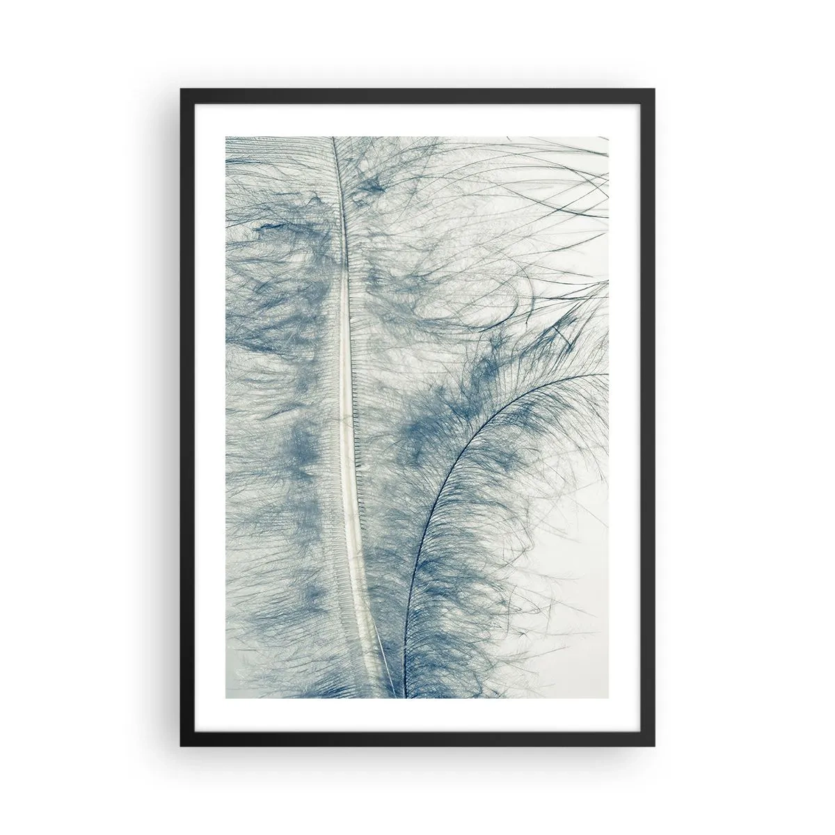 Plakat i sort ramme - En delikat fjer i diskrete blå nuancer - 50x70cm - Naturens hvisken - Moderne vægdekoration til stue og soveværelse ARTTOR
