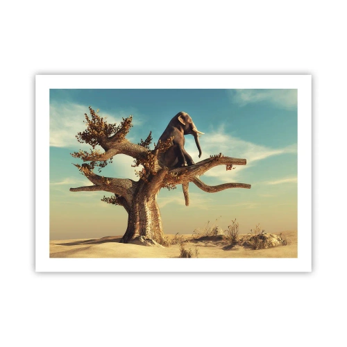 Plakat - Et nyt synspunkt - 70x50 cm