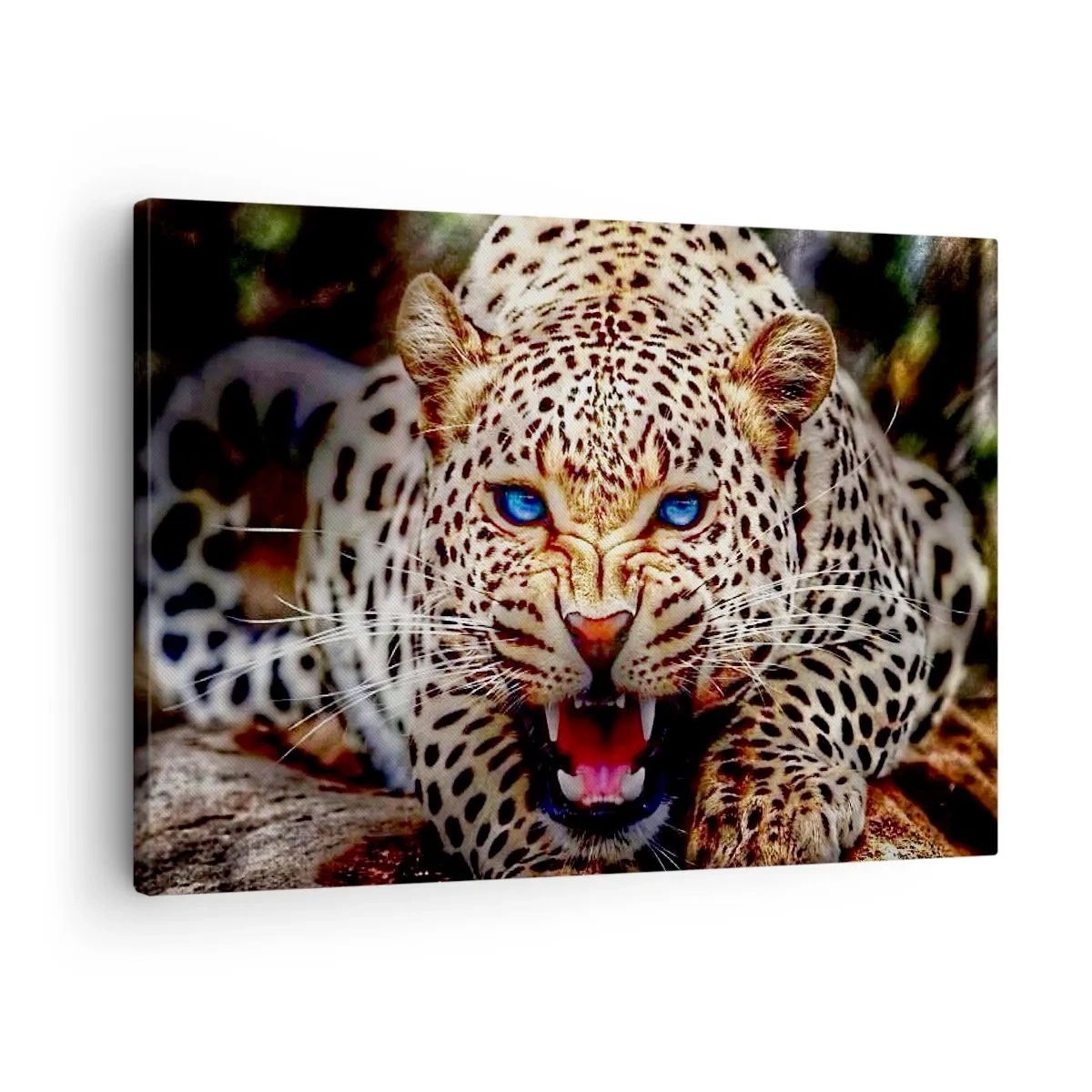 Lærredstryk - Billede på lærred - En truende leopard med intense blå øjne - 70x50cm - Vrede skader ikke skønhed - Moderne vægdekoration til stue og soveværelse ARTTOR