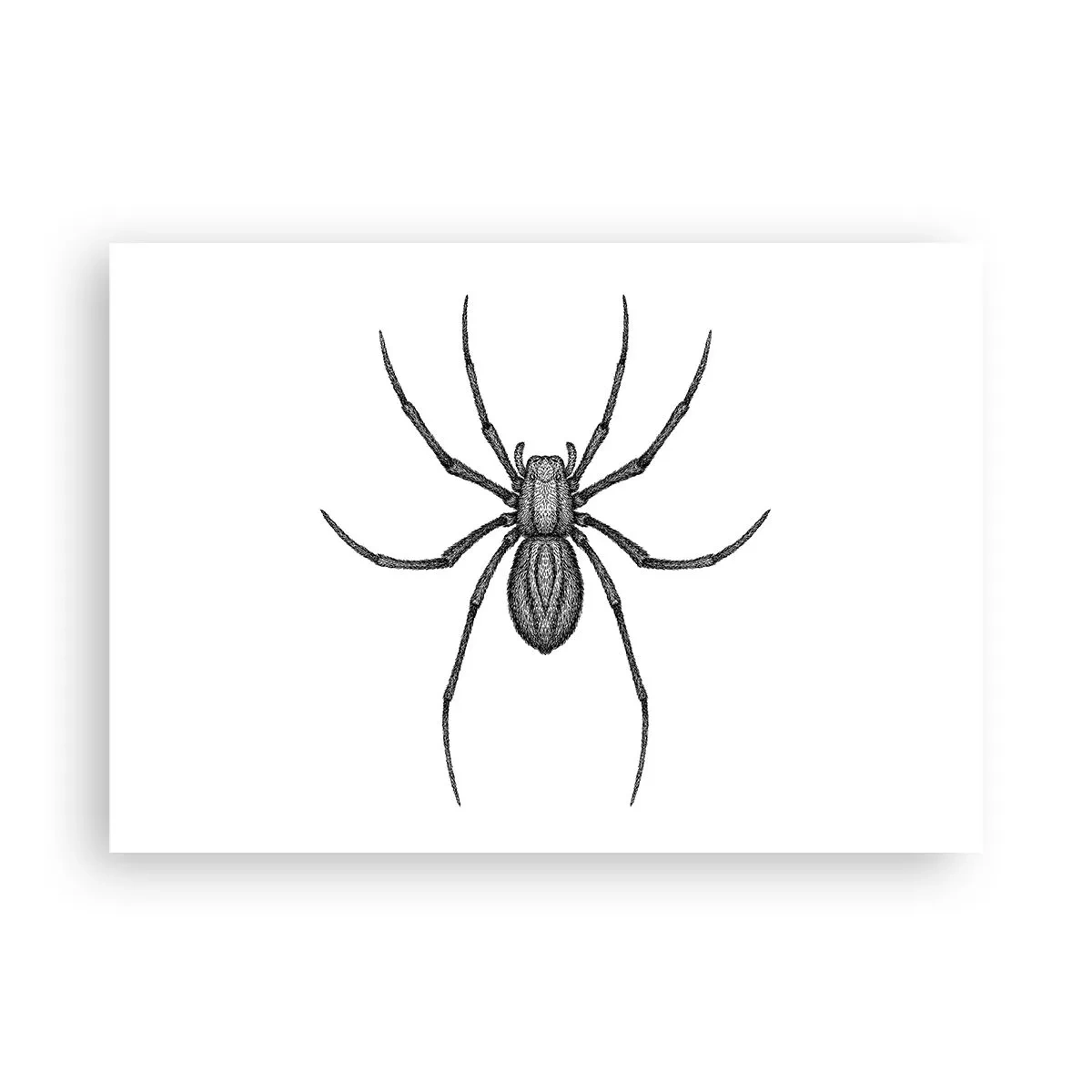 Plakat - Foruroligende præcision - 100x70 cm