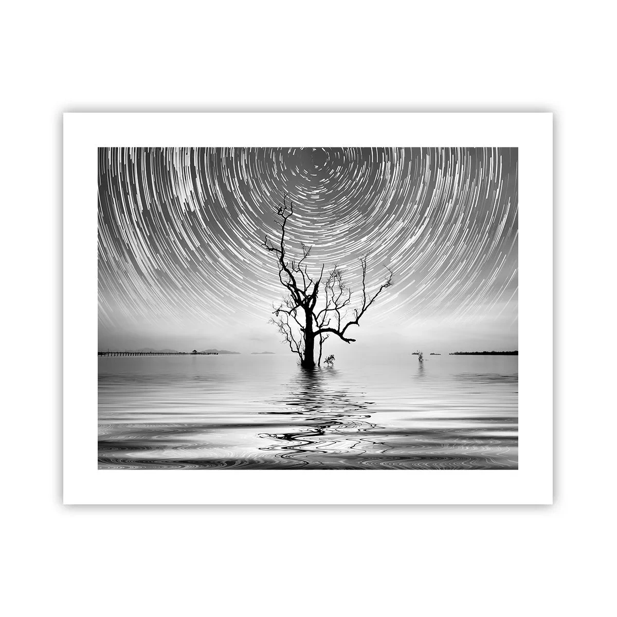 Plakat - En natursymfoni - 50x40 cm