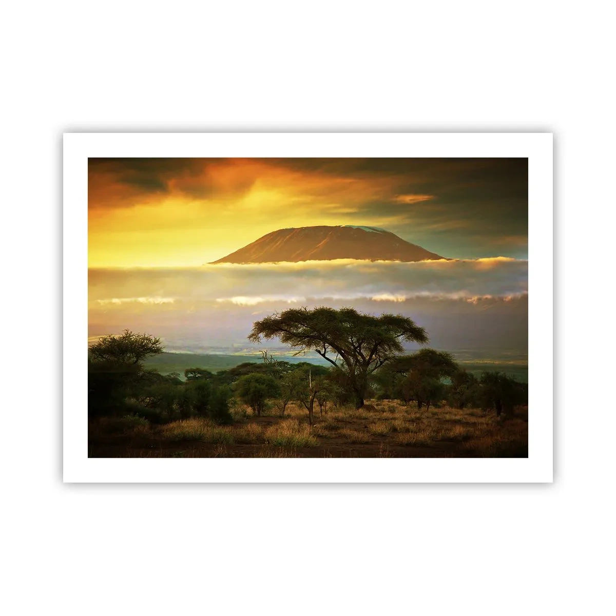 Plakat - En rejsendes drøm - 70x50 cm