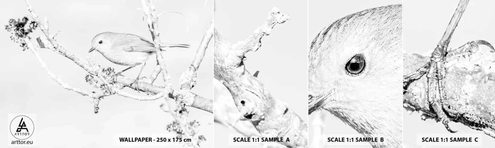 Fototapet Prøve Standard Eco - Vintermorgen - Lyse, Fugl, Natur - 100x30 cm