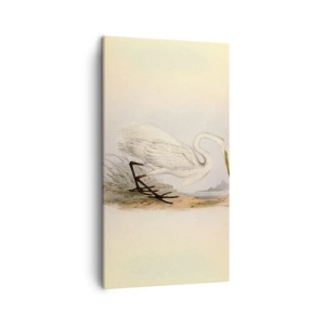 Lærredstryk - Billede på lærred - Dame på sivene - 45x80 cm