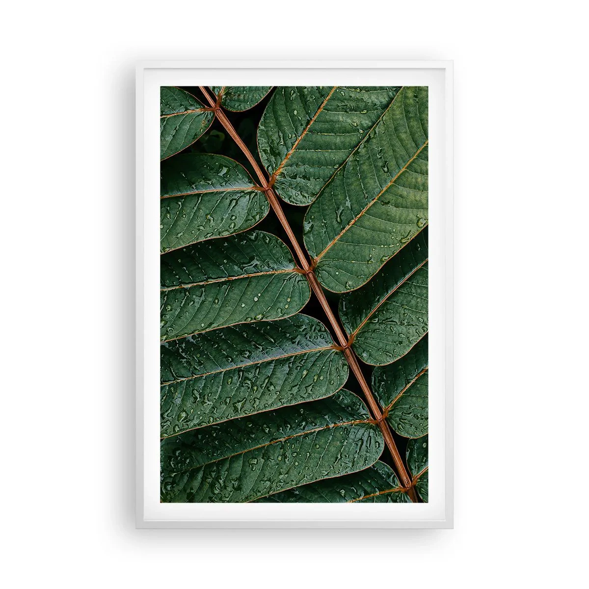Plakat i hvid ramme - I en grøn rytme - 61x91 cm