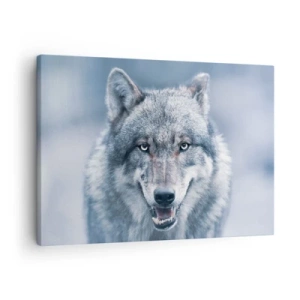 Lærredstryk - Billede på lærred - En ulv med et intenst blik i et vinterlandskab - 70x50cm - Vil du tage udfordringen op? - Moderne vægdekoration til stue og soveværelse ARTTOR