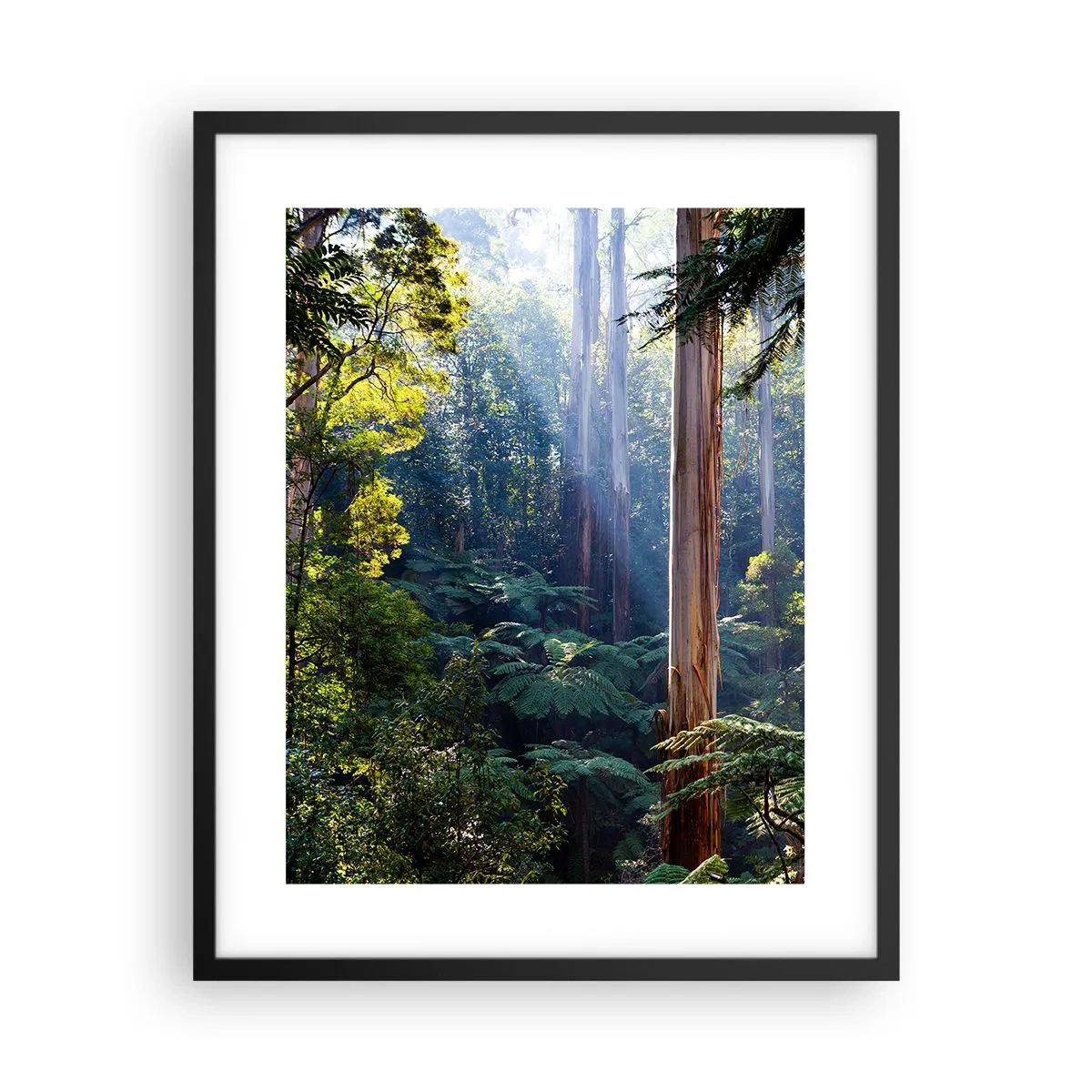 Plakat i sort ramme - En fortælling om skoven - 40x50 cm
