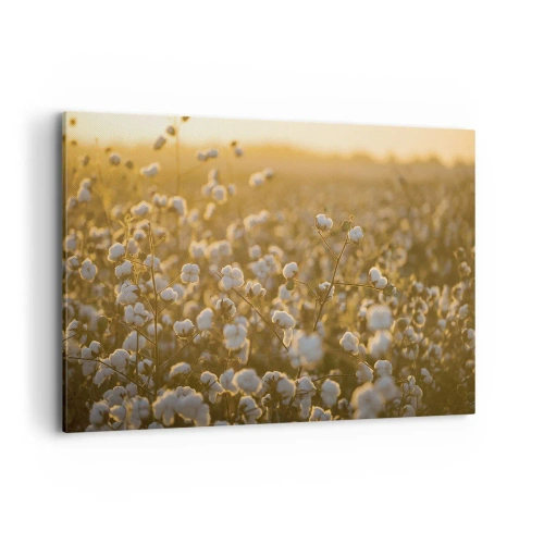 Lærredstryk - Billede på lærred - Et luftigt felt - 120x80 cm