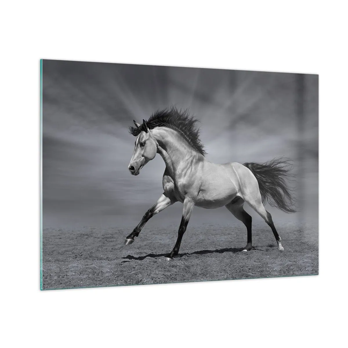 Billede på glas - Født til glæde - 100x70 cm