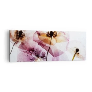 Lærredstryk - Billede på lærred - Blomsterlegeme dias - 140x50 cm