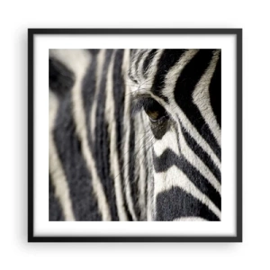 Plakat i sort ramme - Stribet portræt - 50x50 cm