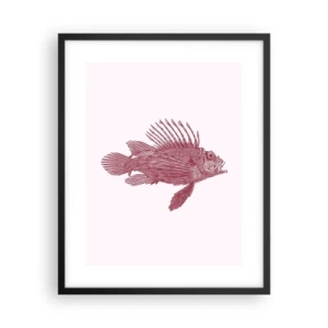 Plakat i sort ramme - En beboer i eksotiske farvande - 40x50 cm