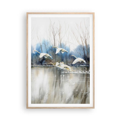 Plakat i ramme af lyst egetræ - Som i en fortælling om vilde svaner - 70x100 cm