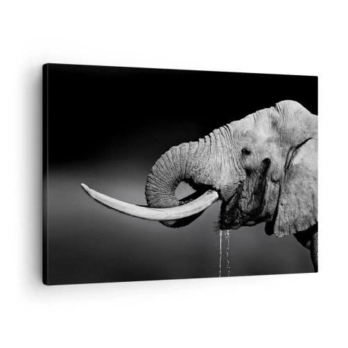 Lærredstryk - Billede på lærred - Sort-hvidt portræt af en elefant i profil - 70x50cm - Ja, det er godt nu - Moderne vægdekoration til stue og soveværelse ARTTOR