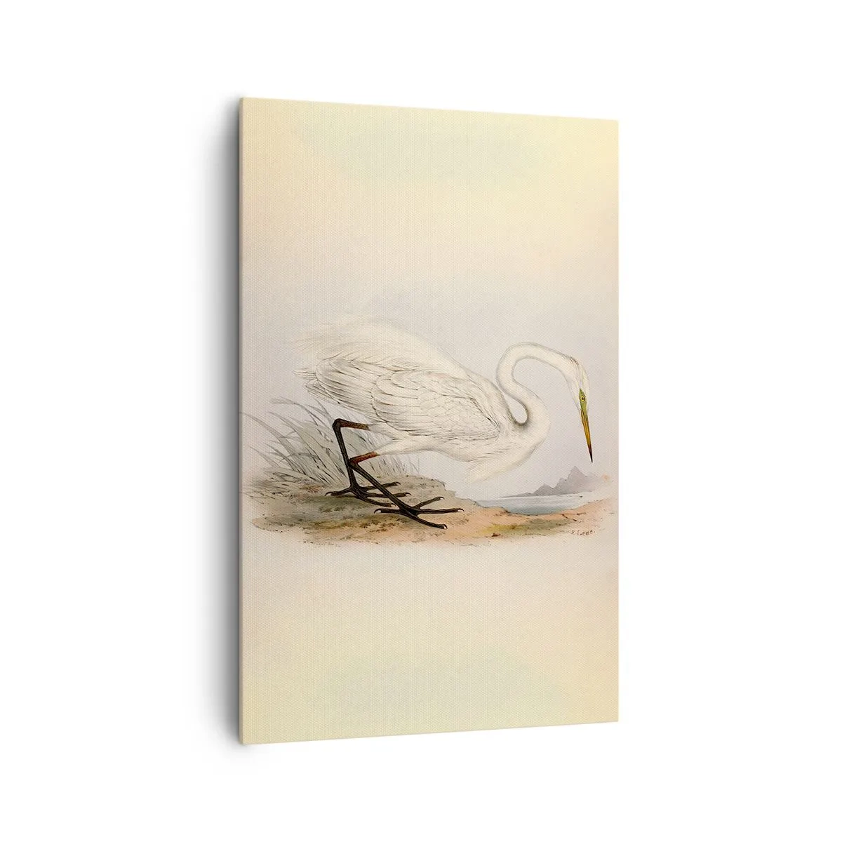 Lærredstryk - Billede på lærred - Dame på sivene - 80x120 cm