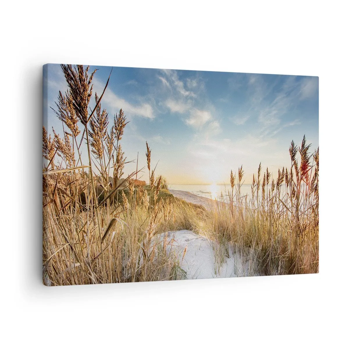 Lærredstryk - Billede på lærred - En malerisk strand med græs og den nedgående sol - 70x50cm - Nordstrand - Moderne vægdekoration til stue og soveværelse ARTTOR