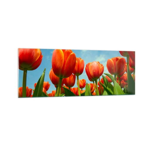 Billede på glas - Bortset fra den blå himmel behøver de intet i livet - 140x50 cm