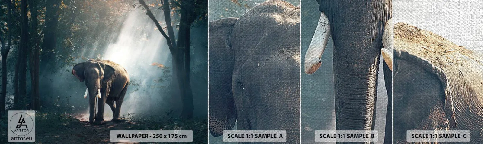 Prøve Fototapet Premium Canvas - En fredelig gåtur - Dyr, Elefant, Jungle - 100x30 cm