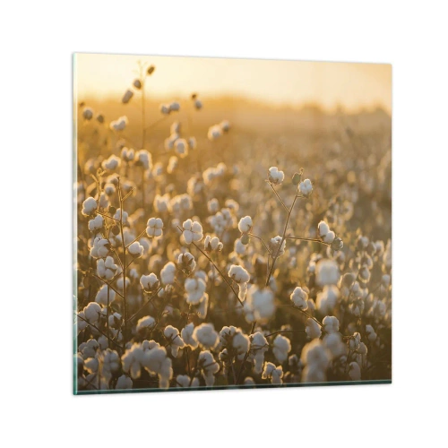 Billede på glas - Et luftigt felt - 70x70 cm