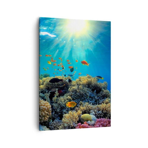 Lærredstryk - Billede på lærred - Undervandsskatte - 50x70 cm