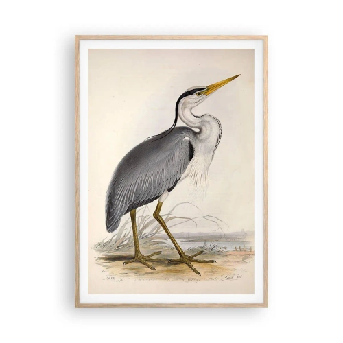 Plakat i ramme af lyst egetræ - Fiskehejre-charme - 70x100 cm