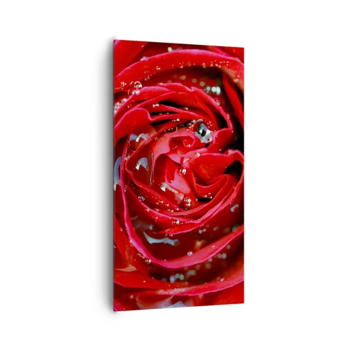 Lærredstryk - Billede på lærred - I dråber af dug - 65x120 cm