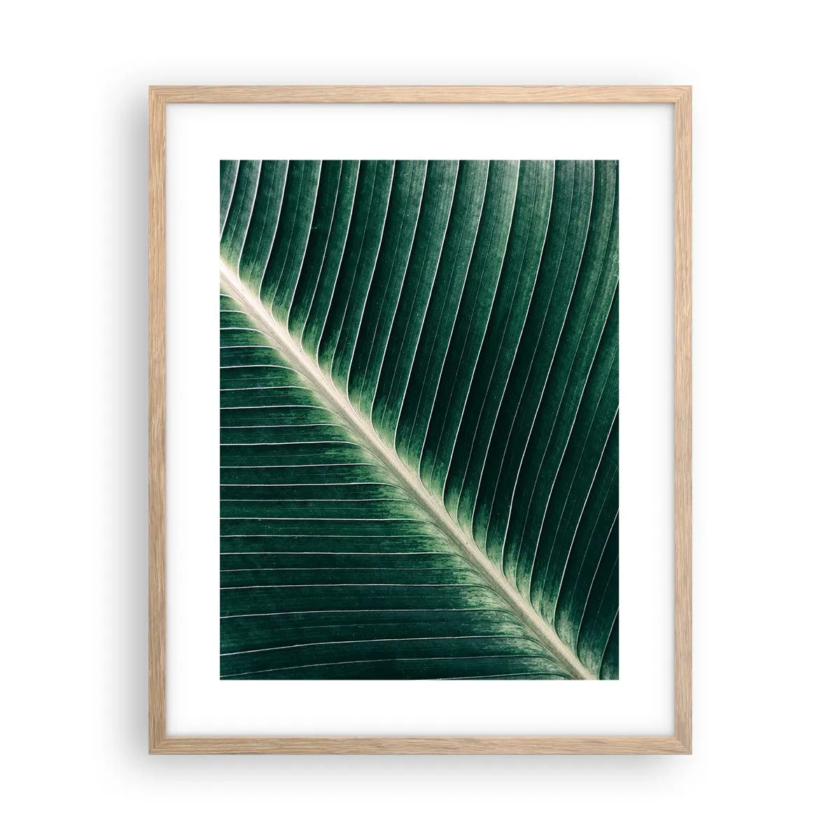 Plakat i ramme af lyst egetræ - Naturens rytme - 40x50 cm