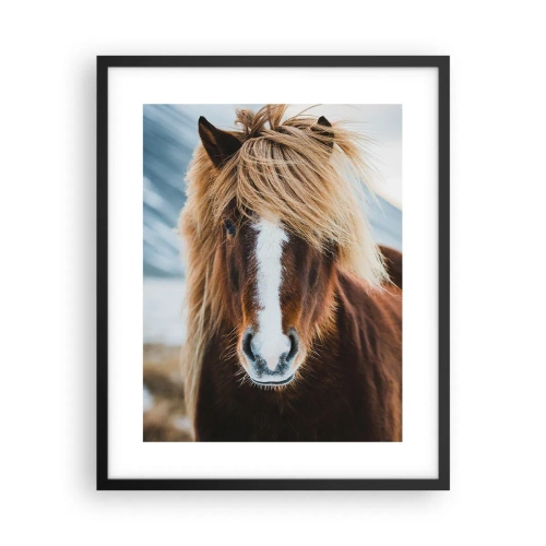 Plakat i sort ramme - Kan du mærke friheden? - 40x50 cm