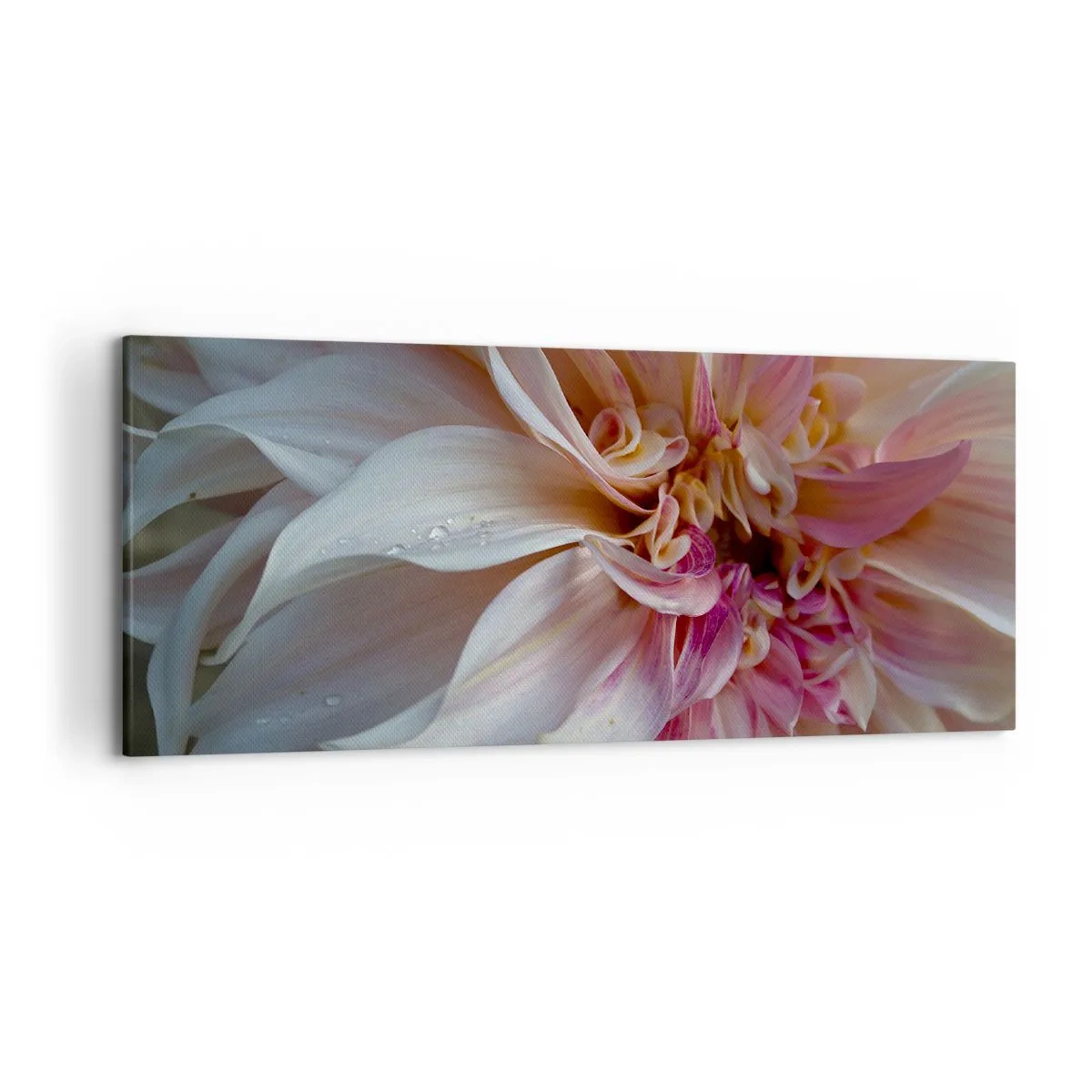 Lærredstryk - Billede på lærred - Blomstrende friskhed - 120x50 cm