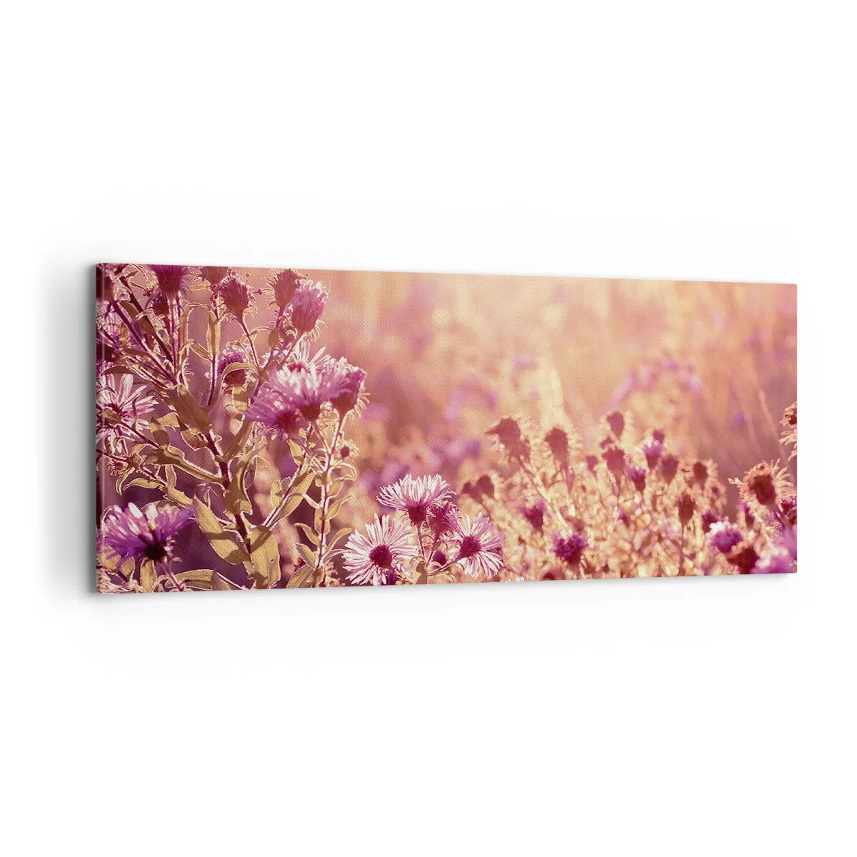 Lærredstryk - Billede på lærred - Før sommeren er forbi - 100x40 cm