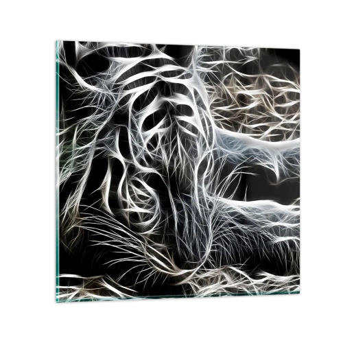 Billede på glas - En undersøgelse af kattens lethed - 50x50 cm