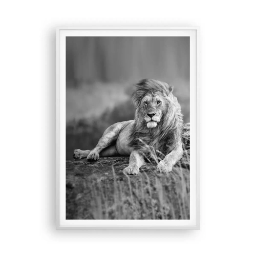 Plakat i hvid ramme - Kongelig siesta - 70x100 cm