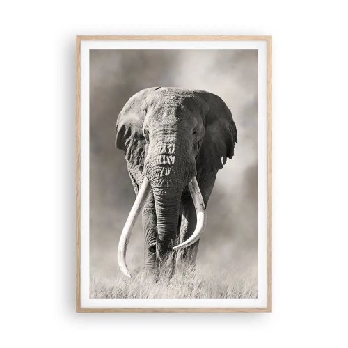 Plakat i ramme af lyst egetræ - Afrikansk patriark - 70x100 cm