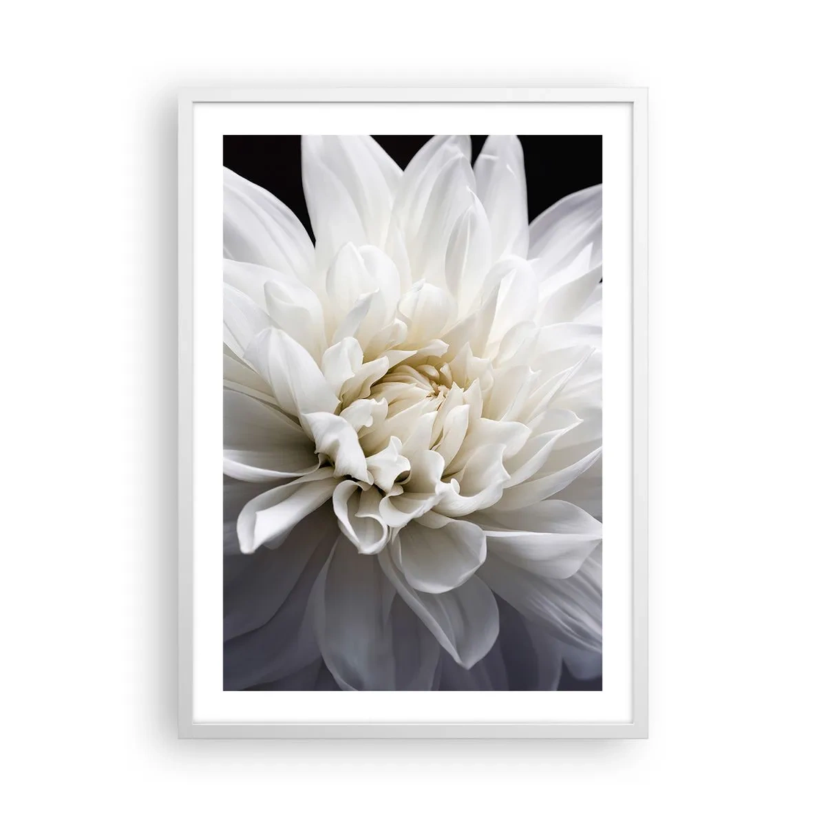 Plakat i hvid ramme - Morgenbrud - 50x70 cm