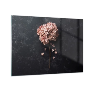 Billede på glas - Tør hortensia med spredte kronblade på en mørk baggrund - 70x50cm - Et virkelig romantisk tegn - Moderne vægdekoration til stue og soveværelse ARTTOR