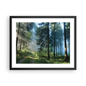 Plakat i sort ramme - Strålende om morgenen - 50x40 cm