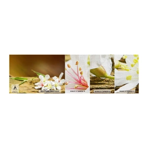 Prøve Fototapet Premium Canvas - Et uskyldigt løfte - Blomster, Bambus, Spa - 100x30 cm