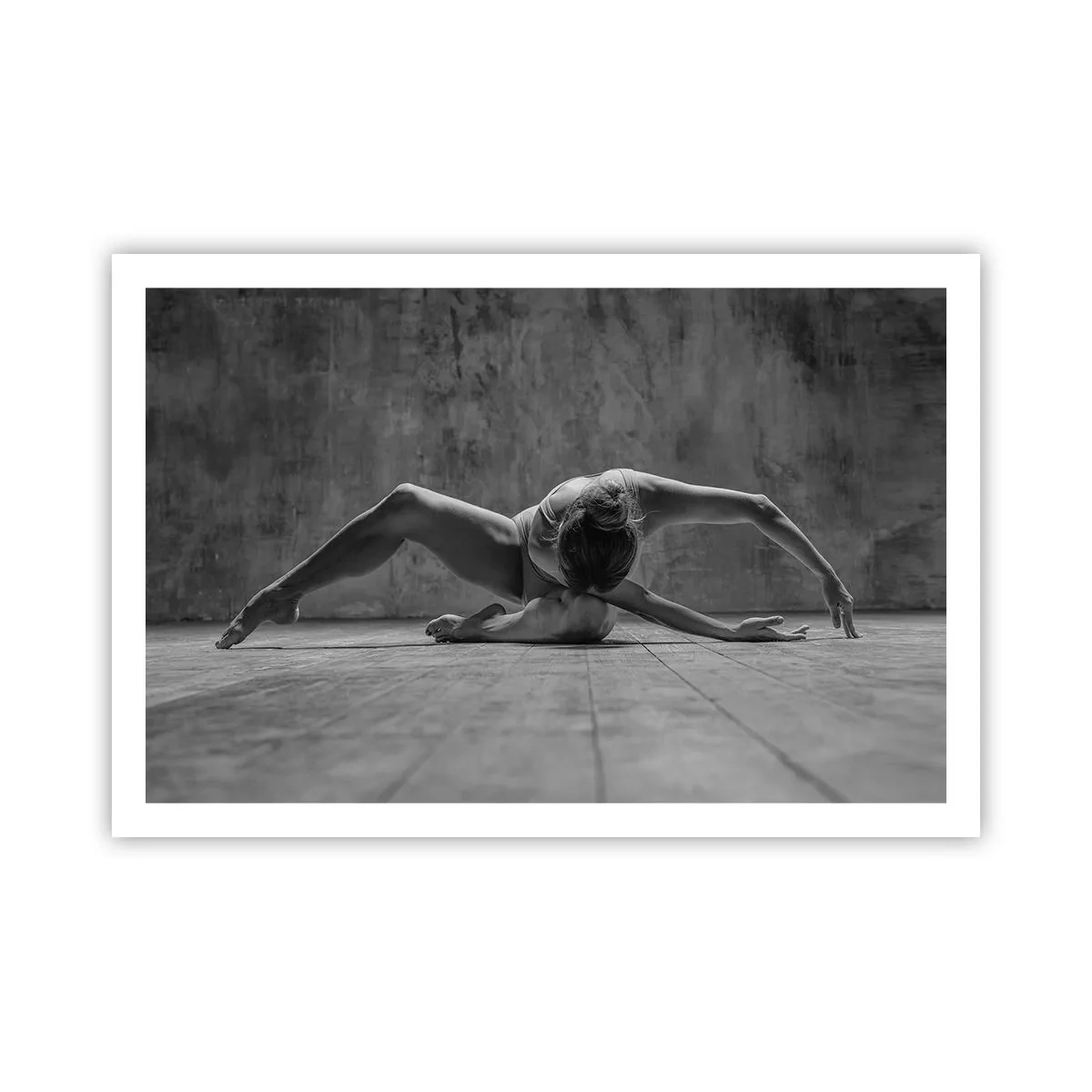 Plakat - Symmetri fundet - 91x61 cm