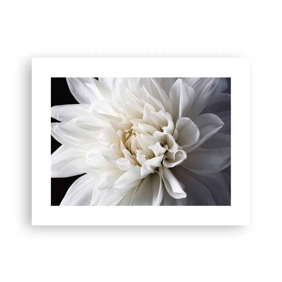 Plakat - Morgenbrud - 40x30 cm